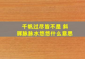 千帆过尽皆不是 斜晖脉脉水悠悠什么意思